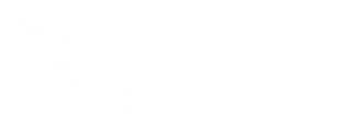 Velkora Consulting